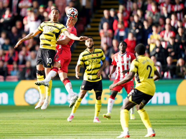 引了大量青 引了大量青